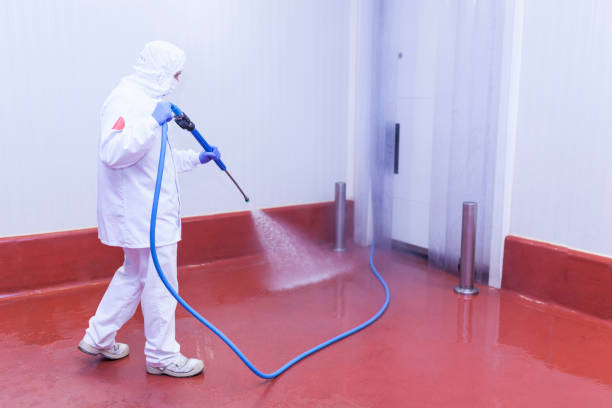 Best Boat and Dock Cleaning  in Isle Of Hope, GA